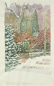 Jardín delantero en fuerte tormenta de nieve de Lillian Delevoryas